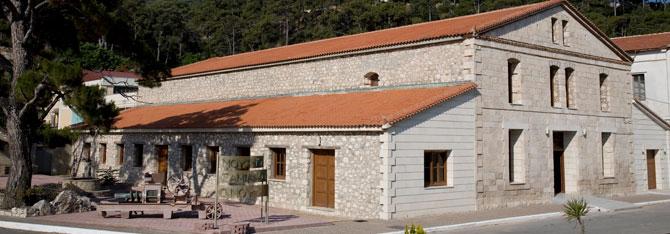 UWC-Samos-wineyard